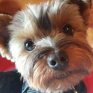 Meet your Posher, Carly